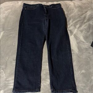 Banana Republic Women's Dark Blue Skinny Jeans